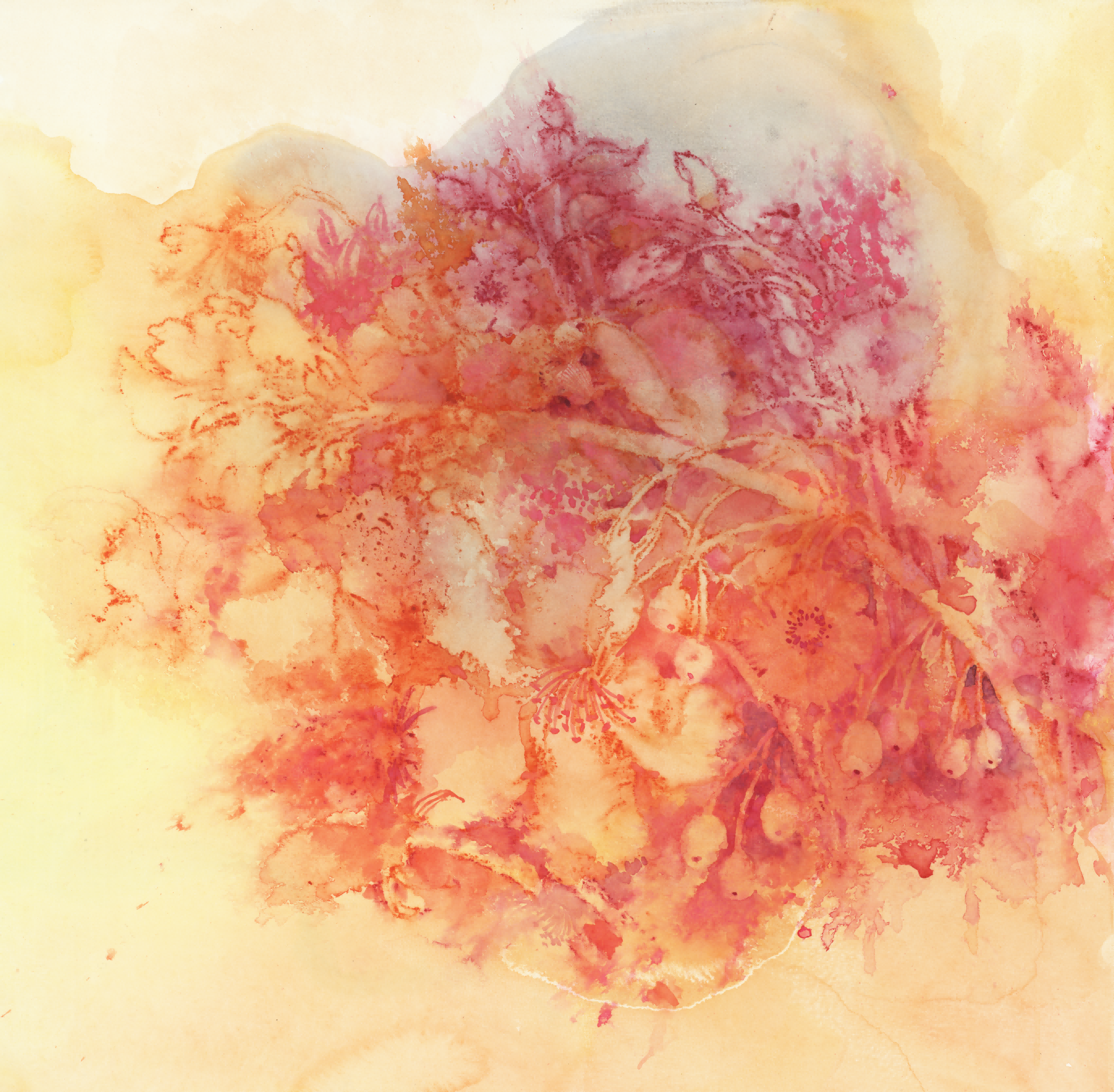 《又逢花开》系列之三（纸本水彩 2015年42cm×42cm）